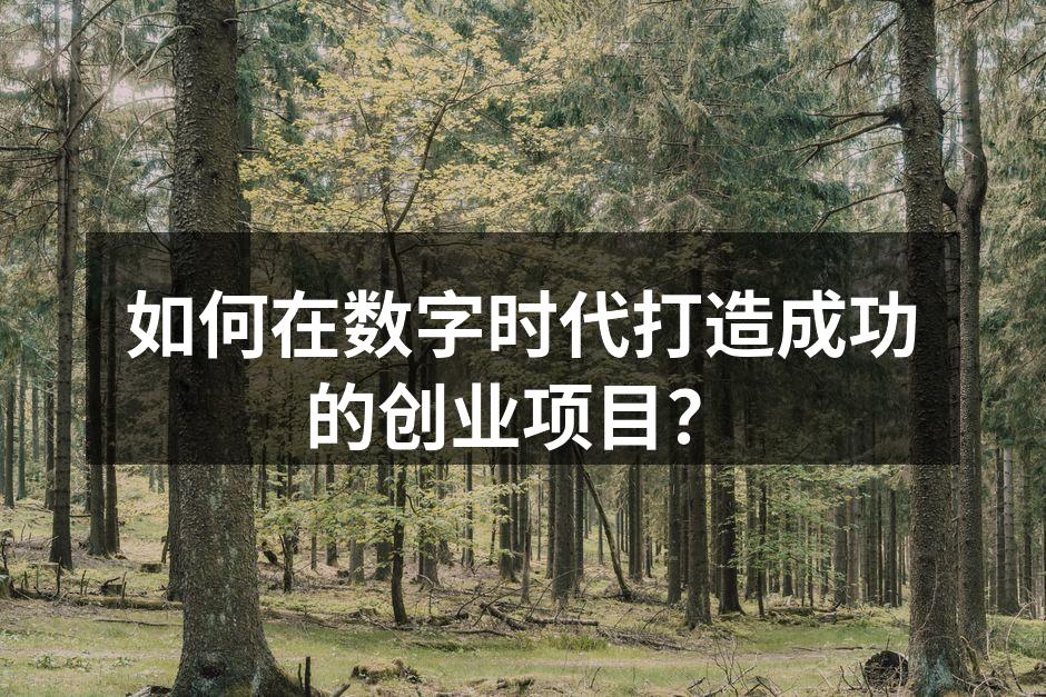 如何在数字时代打造成功的创业项目？